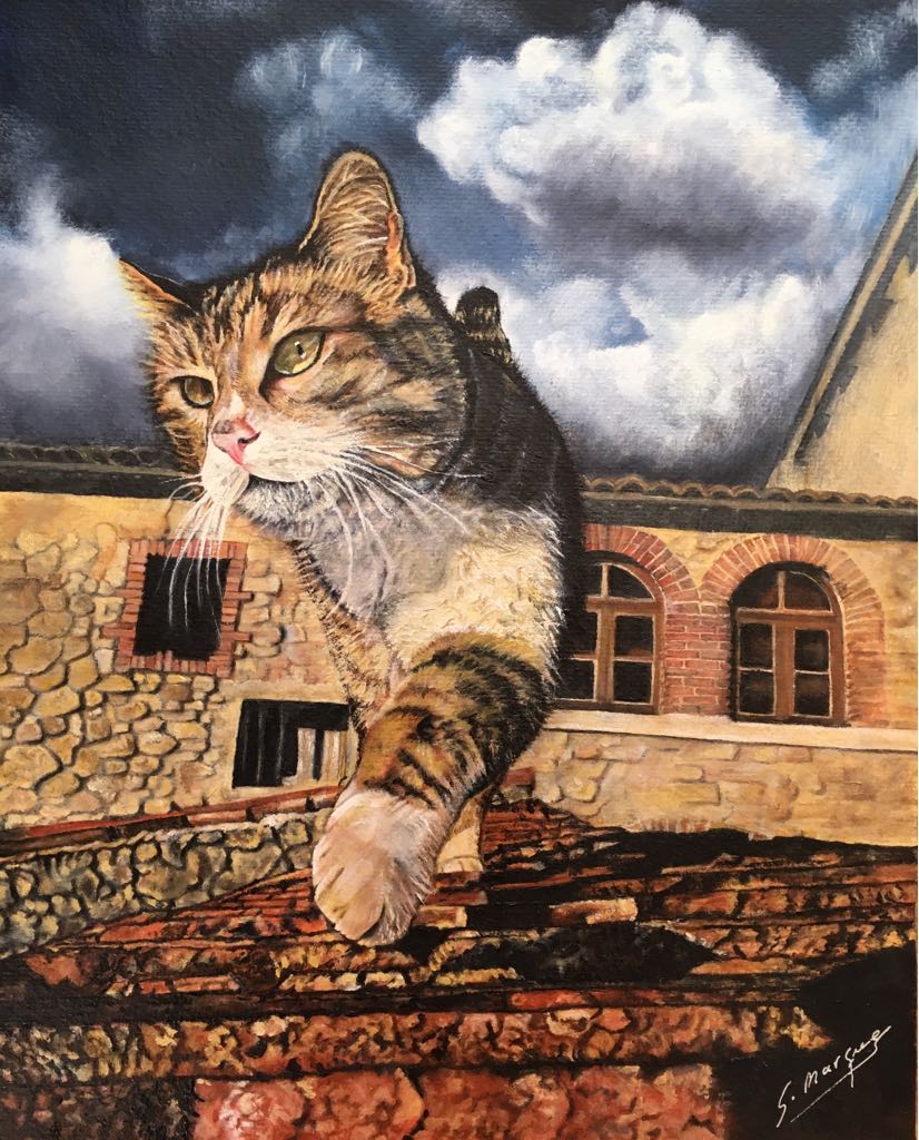 Depués de la tormenta