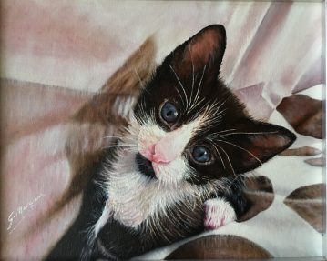 mi-gato-mico