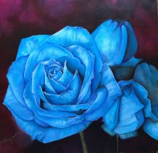 rosa-ii